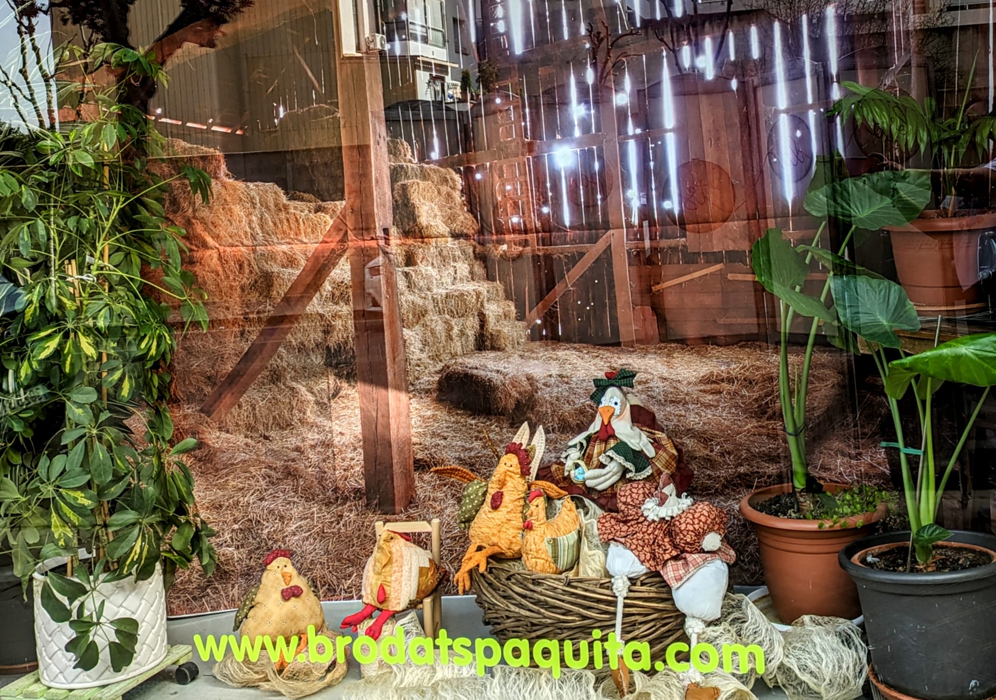 WhatsApp Image 2025-07-22 at 11.25.49